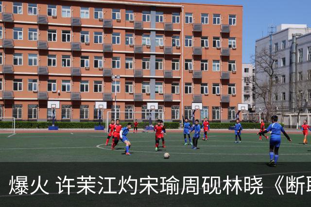 爆火 许茉江灼宋瑜周砚林晓《断联出国，竹马捧着钻戒砸空门》