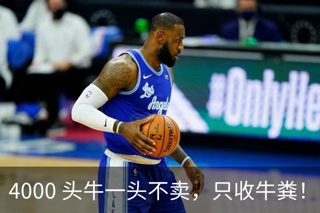 4000 头牛一头不卖，只收牛粪！广西汉靠 “屎” 逆袭，狂赚上亿身家